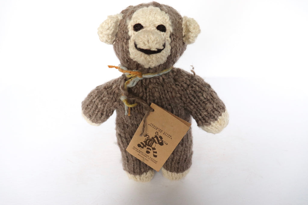 Monkey Rafiki